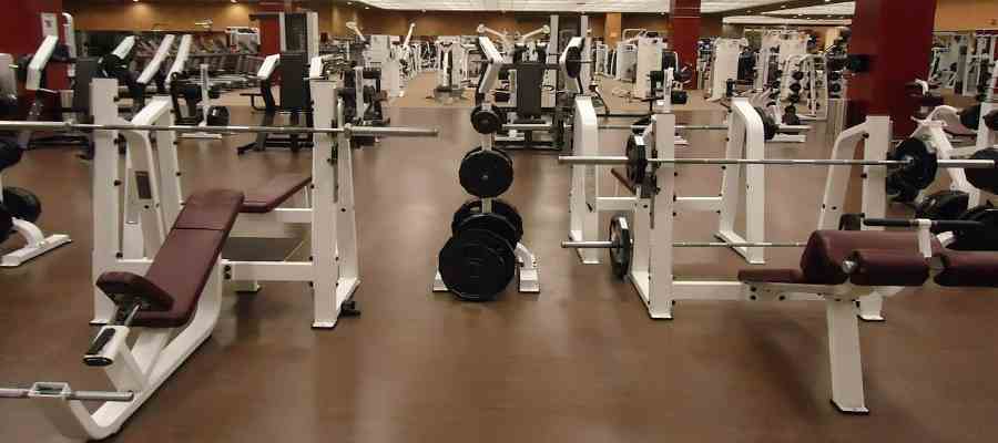 Buchtipps Muskelaufbau