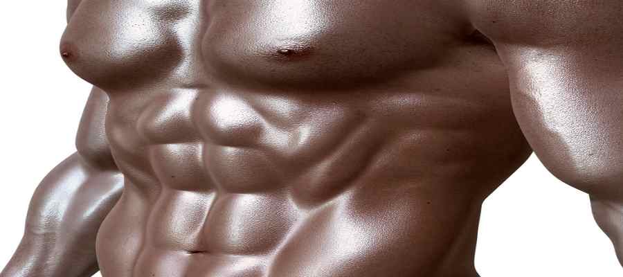 Bauchmuskeln trainieren